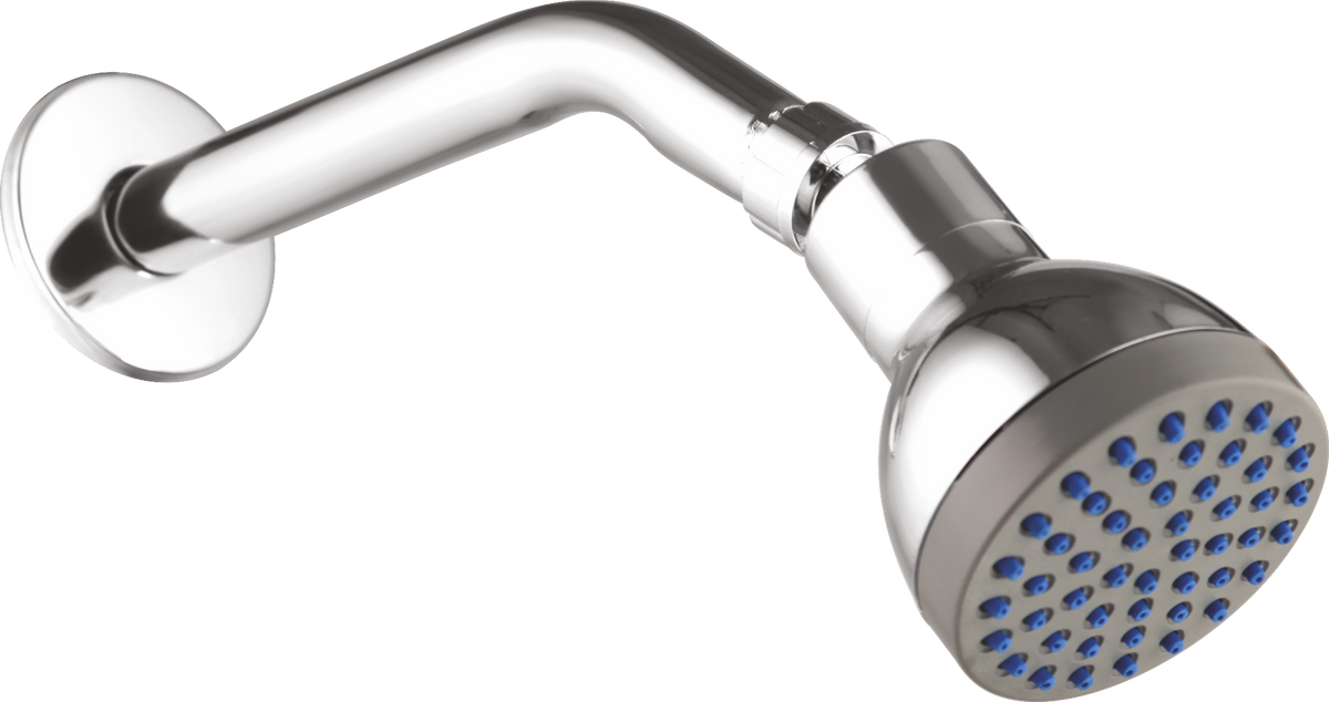 Overhead Shower Tulip | Glanza