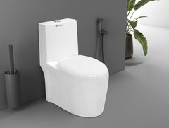 Washdown Closet LEVIS Glanza  | S-trap 300/225mm | P-trap 180mm